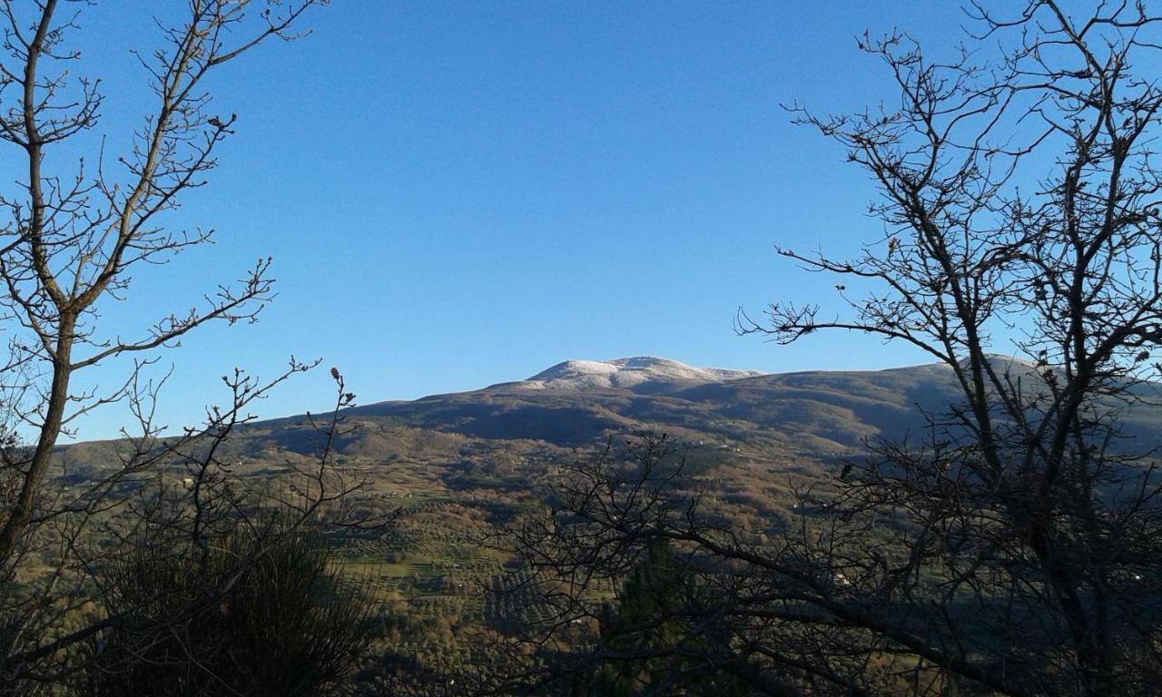 شقة Dimora Toscana Seggiano المظهر الخارجي الصورة
