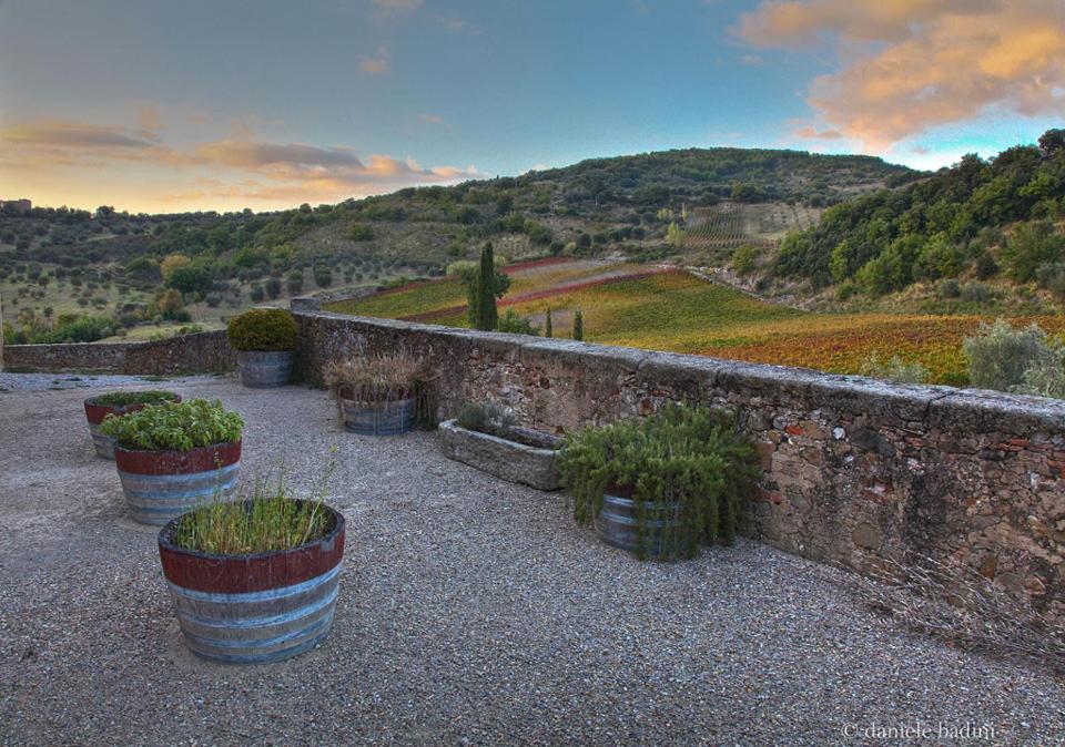 شقة Dimora Toscana Seggiano المظهر الخارجي الصورة